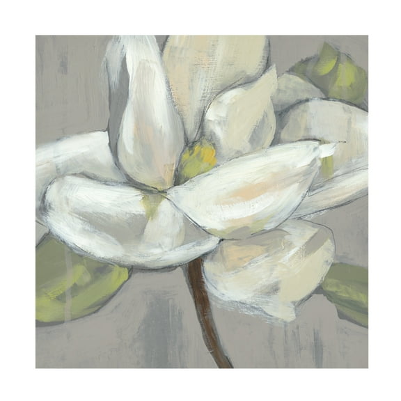 Jennifer Goldberger 'Magnolia on Grey' Canvas Art