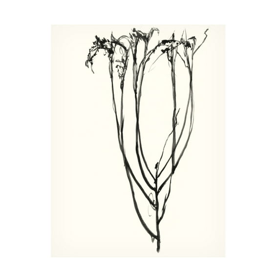 Jennifer Goldberger 'Naive Flower Sketch II' Canvas Art