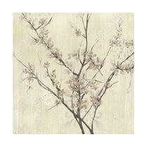 Jennifer Goldberger 'Neutral Blossoms On Cream I' Canvas Art