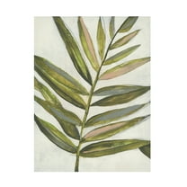 Jennifer Goldberger 'Pastel Frond I' Canvas Art