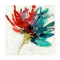 thumbnail image 1 of Jennifer Goldberger 'Splashed Flower I' Canvas Art, 1 of 3
