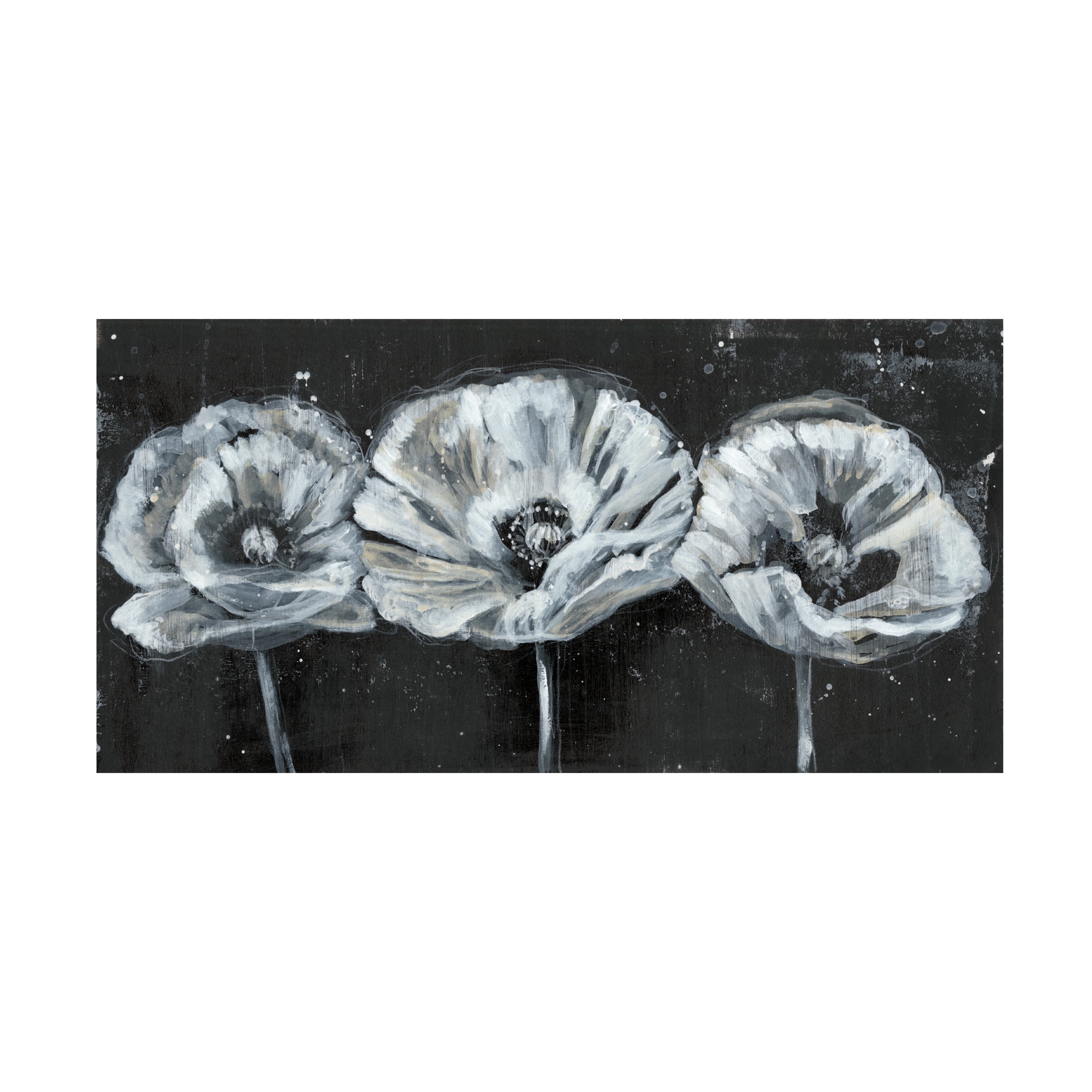 Jennifer Goldberger 'White Trio on Black II' Canvas Art