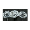 thumbnail image 1 of Jennifer Goldberger 'White Trio on Black II' Canvas Art, 1 of 3