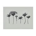 thumbnail image 1 of Jennifer Goldberger 'Wildflower Memory I' Canvas Art, 1 of 3