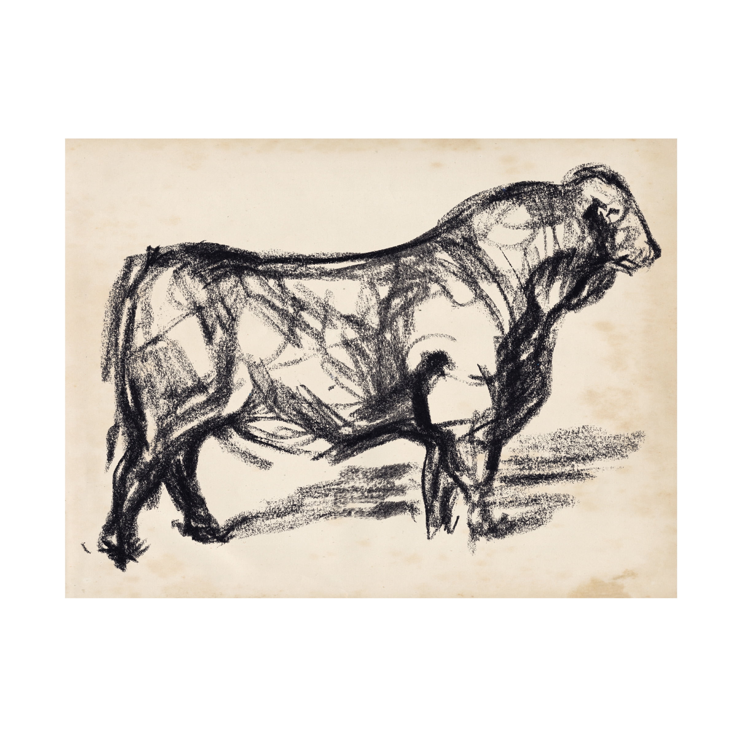 Jennifer Paxton Parker 'Black Angus I' Canvas Art
