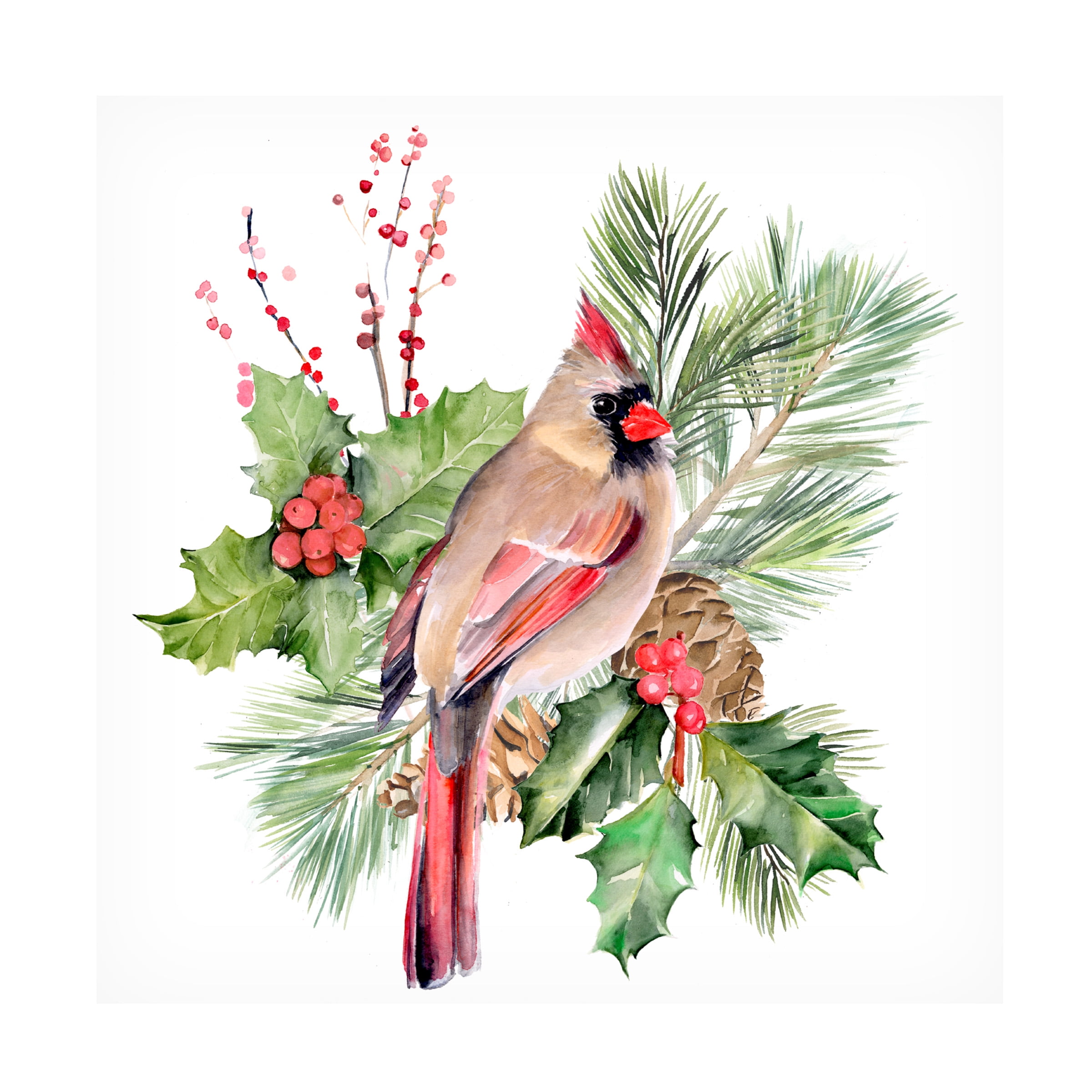 Jennifer Paxton Parker 'Cardinal Holly Christmas II' Canvas Art