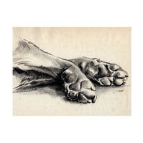 Jennifer Paxton Parker 'Charcoal Paws II' Canvas Art