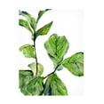 thumbnail image 1 of Jennifer Paxton Parker 'Fiddle Fig II' Canvas Art, 1 of 3