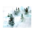 thumbnail image 1 of Jennifer Paxton Parker 'Foggy Evergreens I' Canvas Art, 1 of 3