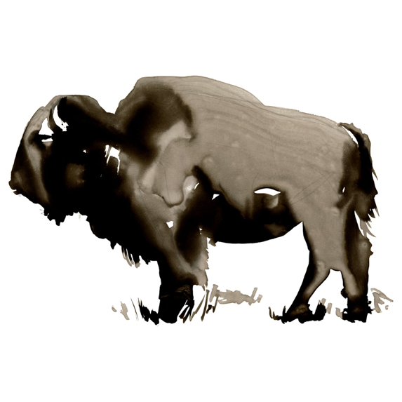 Jennifer Paxton Parker 'Monochrom Bison II' Canvas Art