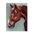 thumbnail image 1 of Jennifer Paxton Parker 'Paint by Number Horse I' Canvas Art, 1 of 4