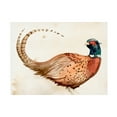 thumbnail image 1 of Jennifer Paxton Parker 'Pheasantry I' Canvas Art, 1 of 3