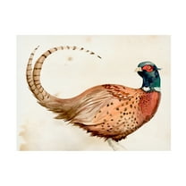 Jennifer Paxton Parker 'Pheasantry I' Canvas Art