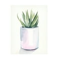 thumbnail image 1 of Jennifer Paxton Parker 'Potted Succulent III' Canvas Art, 1 of 3