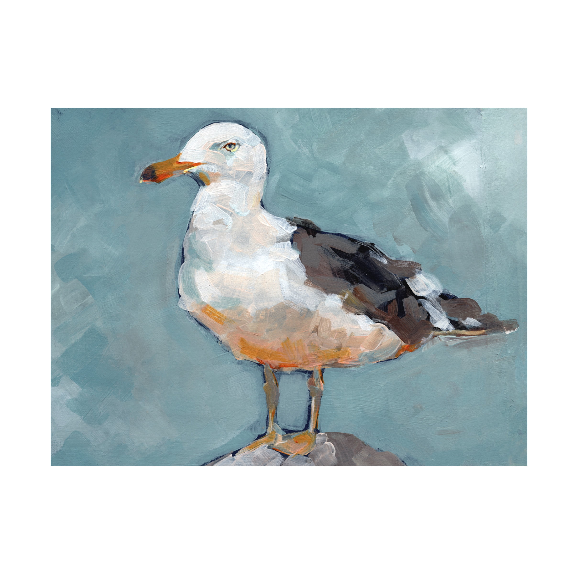 Jennifer Paxton Parker 'Seagull Stance II' Canvas Art
