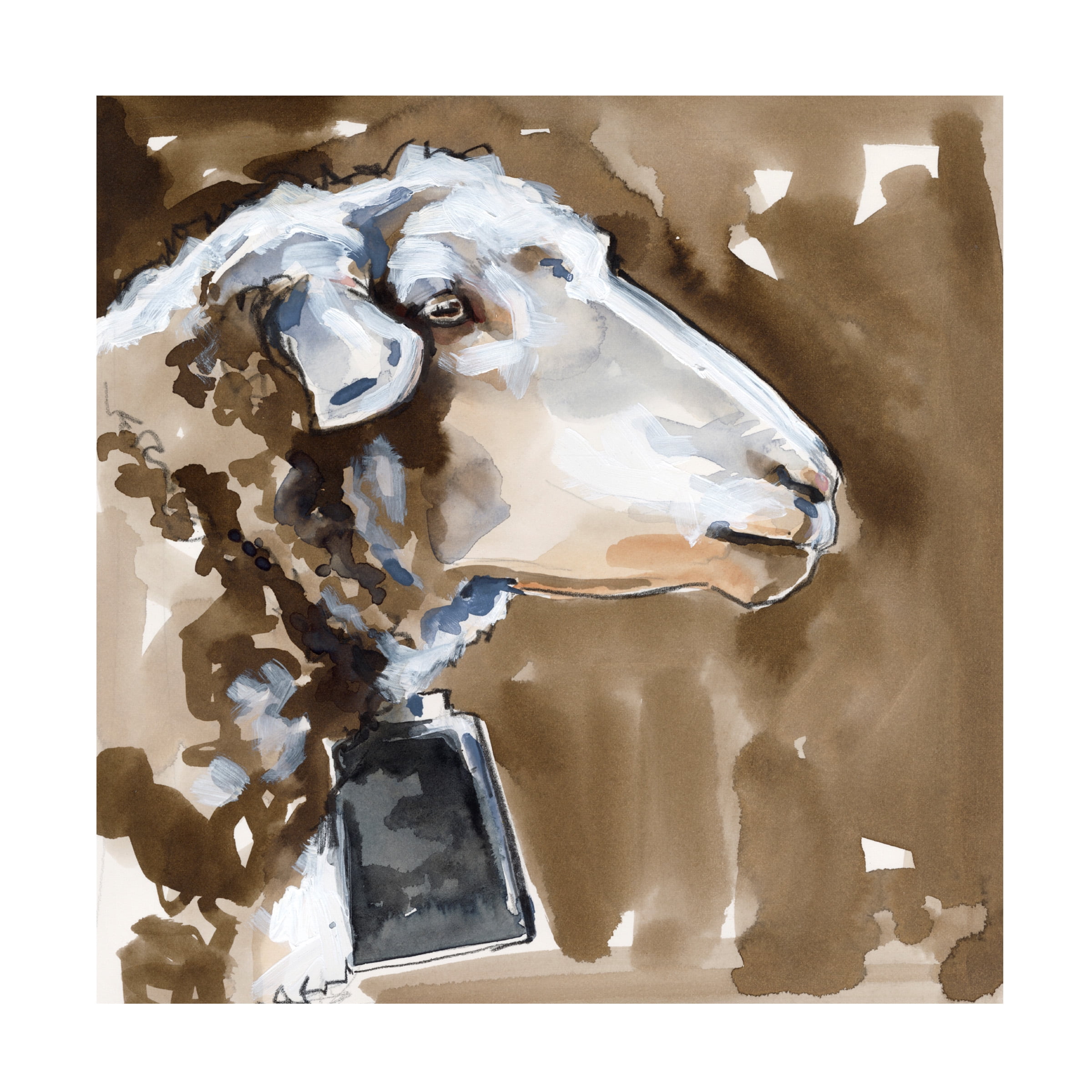 Jennifer Paxton Parker 'Side Eye Sheep I' Canvas Art