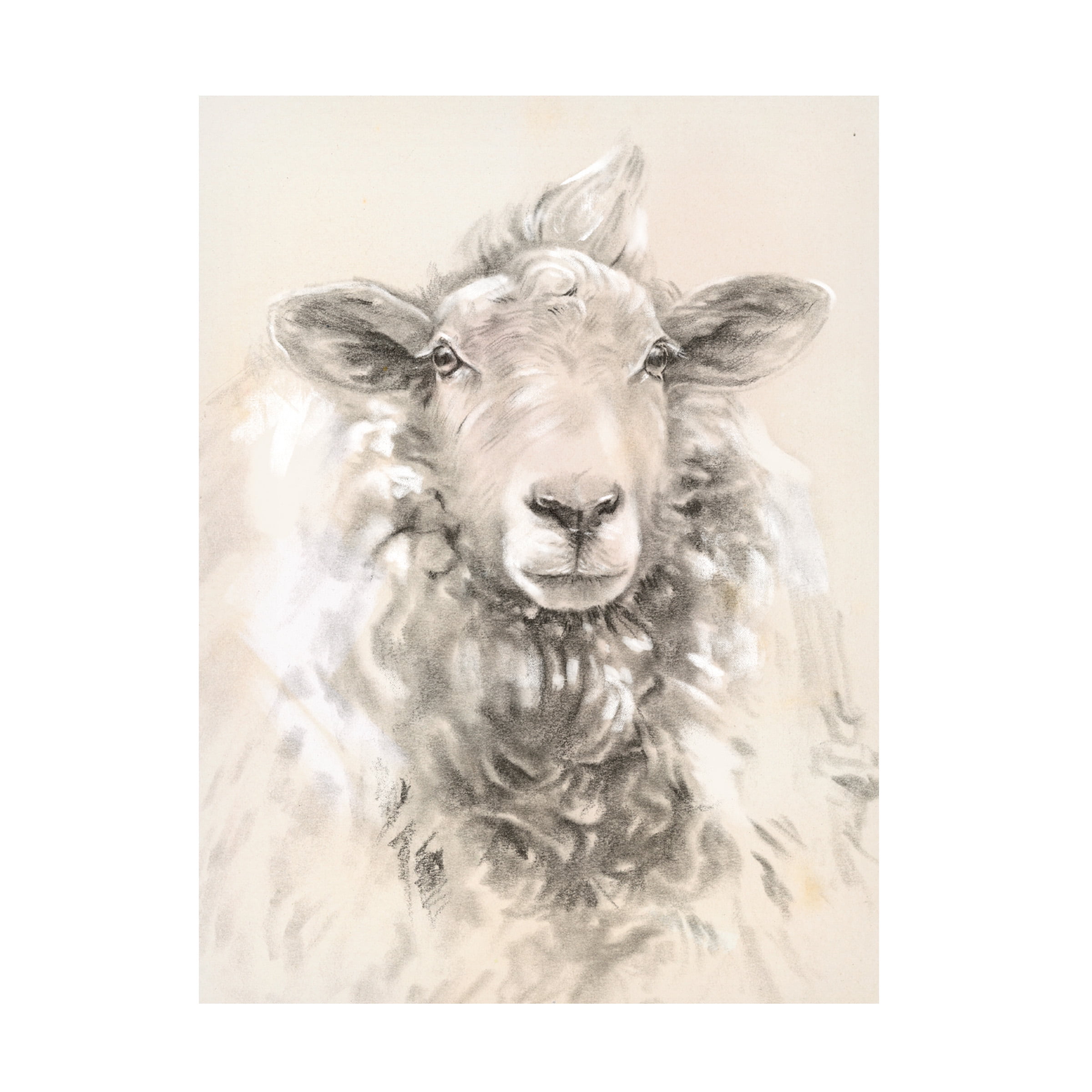 Jennifer Paxton Parker 'Sketched Farm Portraits I' Canvas Art