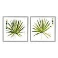 thumbnail image 1 of Jennifer Paxton Parker Spiky Aloe Palm Plant Paint Hue Guide 12" x 12" Framed Painting Art Prints, by Stupell Home Décor Set of 2, 1 of 5