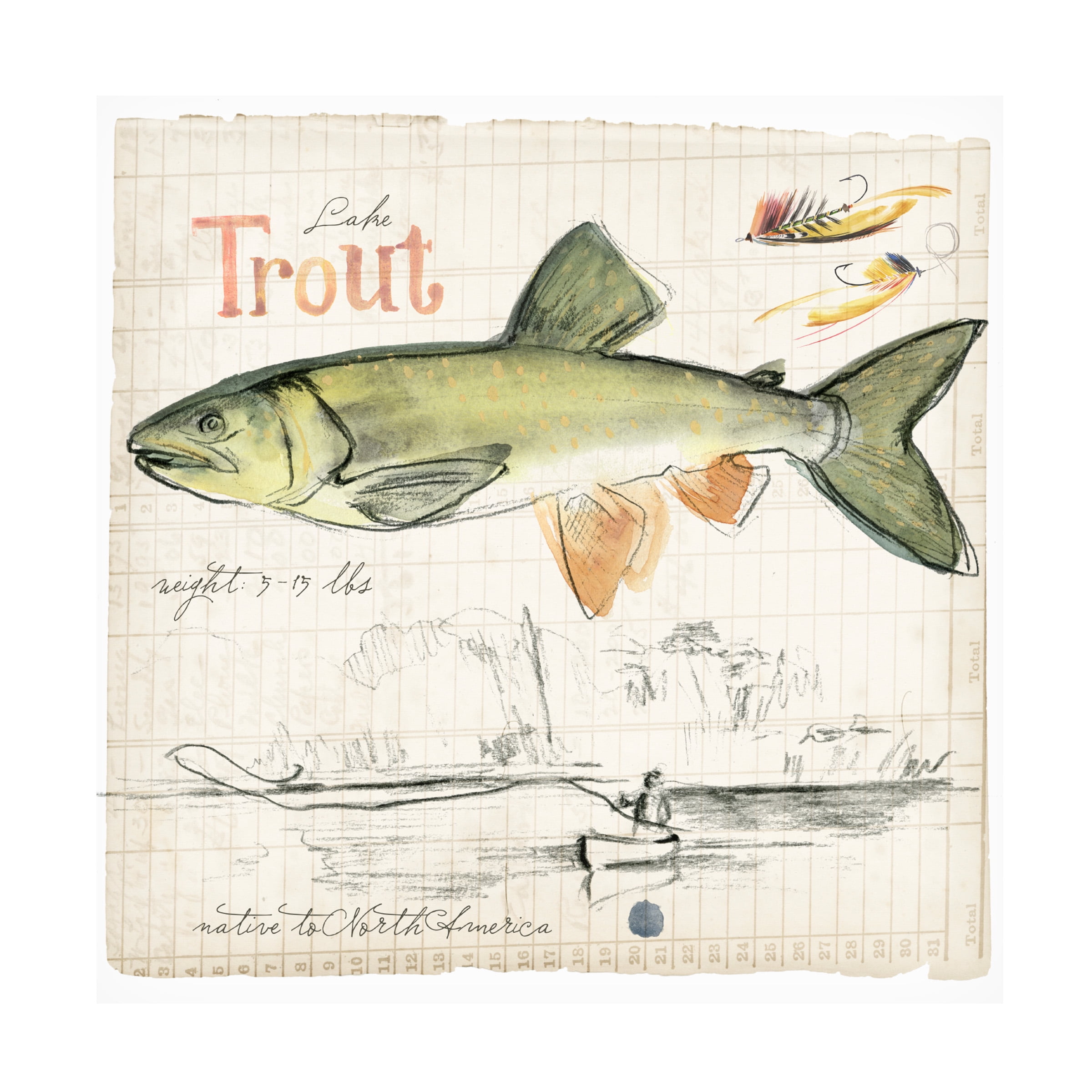 Jennifer Paxton Parker 'Trout Journal III' Canvas Art