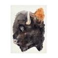 thumbnail image 1 of Jennifer Paxton Parker 'Watercolor Bison Profile II' Canvas Art, 1 of 3