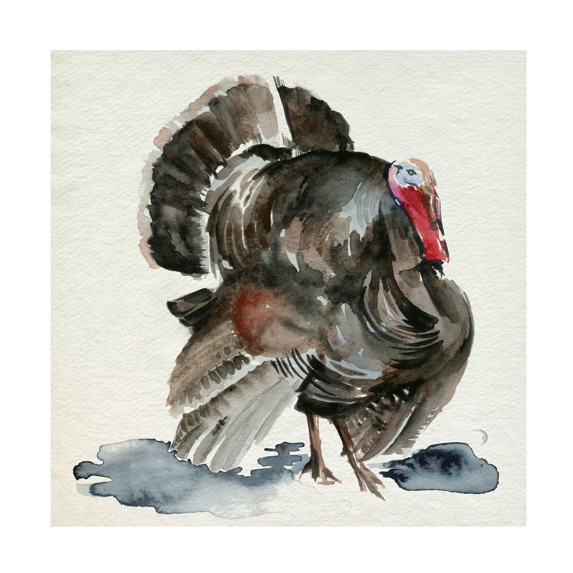 Jennifer Paxton Parker 'Watercolor Turkey I' Canvas Art