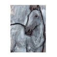 thumbnail image 1 of Jennifer Paxton Parker 'White Horse Contour II' Canvas Art, 1 of 3