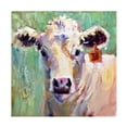 thumbnail image 1 of Jennifer Stottle Taylor '36 Cow' Canvas Art, 1 of 4