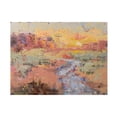 thumbnail image 1 of Jennifer Stottle Taylor 'Dessert Sun' Canvas Art, 1 of 3