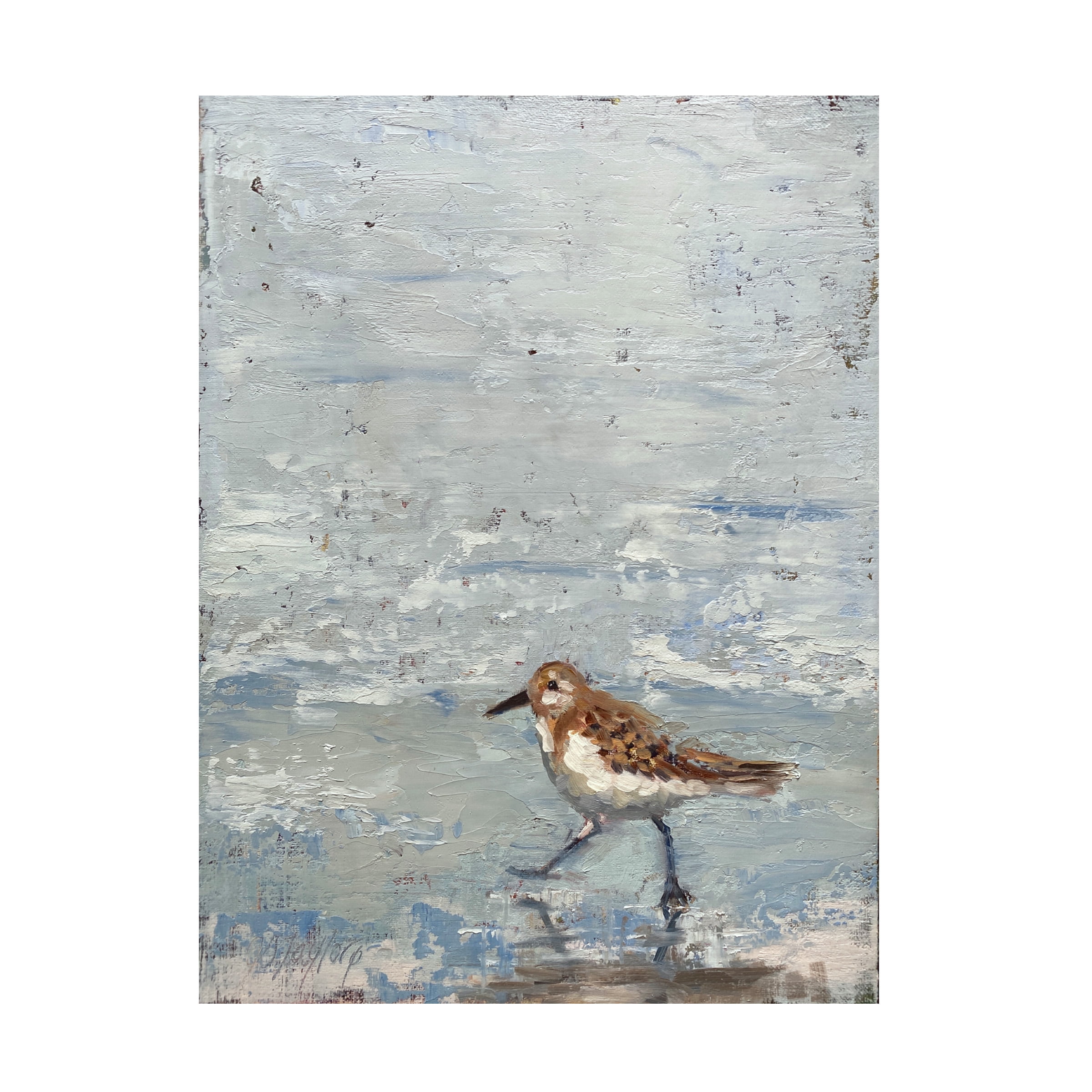 Jennifer Stottle Taylor 'Running Solo' Canvas Art