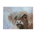 thumbnail image 1 of Jennifer Stottle Taylor 'Scottish Highland Cutie' Canvas Art, 1 of 3