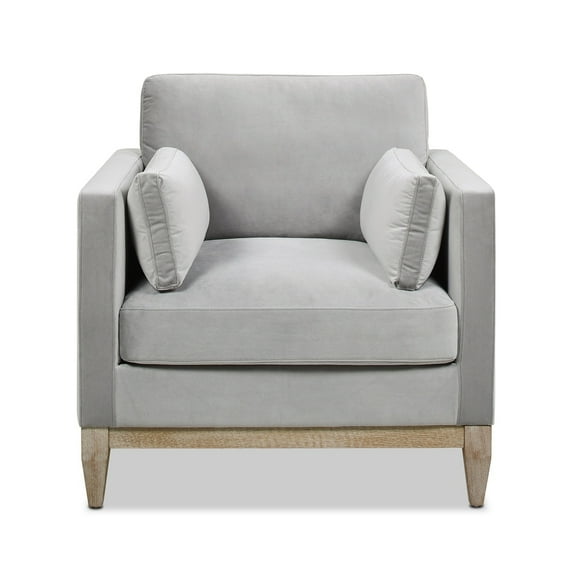Jennifer Taylor Home Knox 36" Modern Farmhouse Performance Velvet Large Living Room Accent Arm Chair in Opal Grey