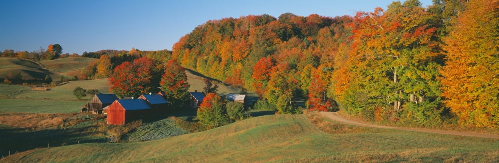 Jenny Farm South of Woodstock Vermont Canvas Art - Panoramic Images (36 x 12)