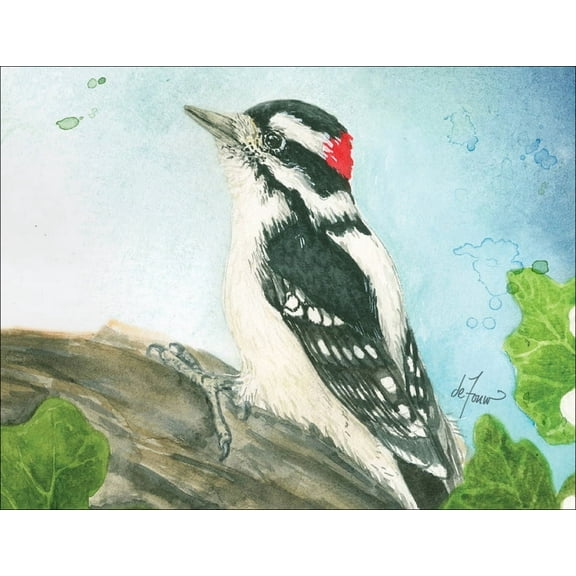 Jenny Geuder Art Backyard Birds Boxed Notecard Assortment, (Hardcover)
