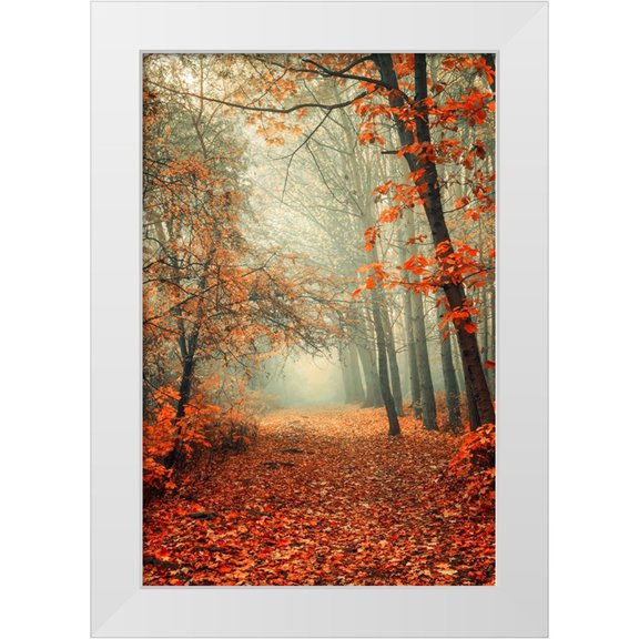 Jenny Rainbow Fine Art 11x14 White Modern Wood Framed Museum Art Print Titled - Autumn Rust