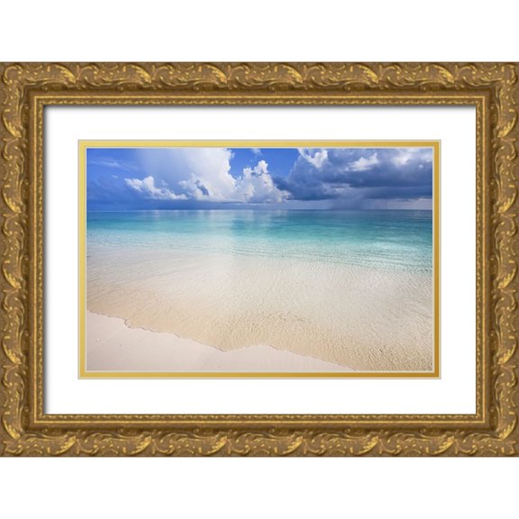 Jenny Rainbow Fine Art 14x10 Gold Ornate Wood Framed with Double Matting Museum Art Print Titled - Wide Ocean