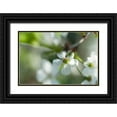 thumbnail image 1 of Jenny Rainbow Fine Art 14x11 Black Ornate Wood Framed with Double Matting Museum Art Print Titled - Cherry Blossom in a Sunny Day, 1 of 4