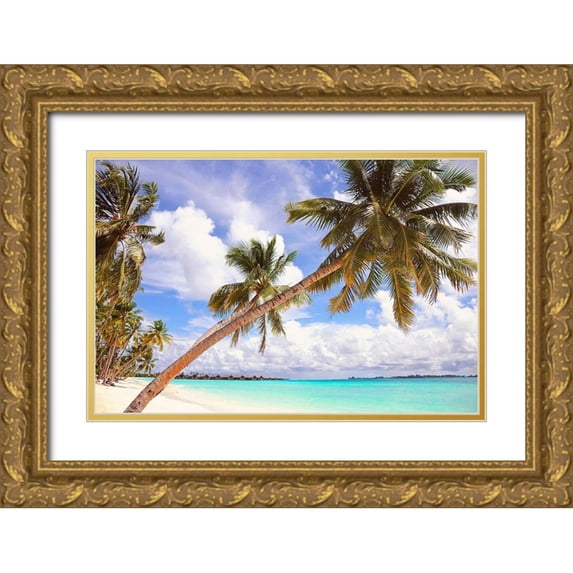 Jenny Rainbow Fine Art 14x11 Gold Ornate Wood Framed with Double Matting Museum Art Print Titled - Whispering Palms