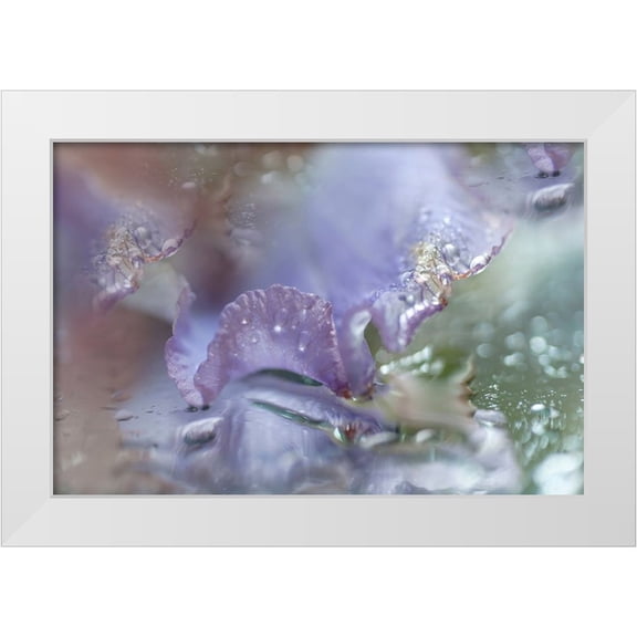 Jenny Rainbow Fine Art 14x11 White Modern Wood Framed Museum Art Print Titled - Morning Diamonds Iris Macro 1