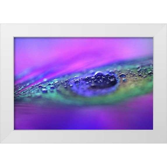 Jenny Rainbow Fine Art 14x11 White Modern Wood Framed Museum Art Print Titled - Peacock Diamonds