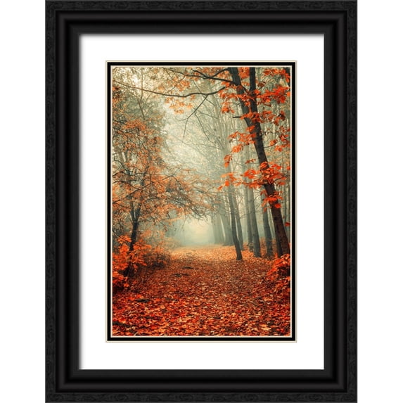 Jenny Rainbow Fine Art 17x24 Black Ornate Wood Framed with Double Matting Museum Art Print Titled - Autumn Rust