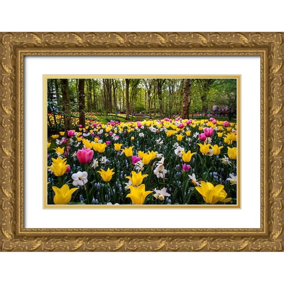 Jenny Rainbow Fine Art 18x13 Gold Ornate Wood Framed with Double Matting Museum Art Print Titled - Colorful Corner Keukenhof Tulips Garden 2