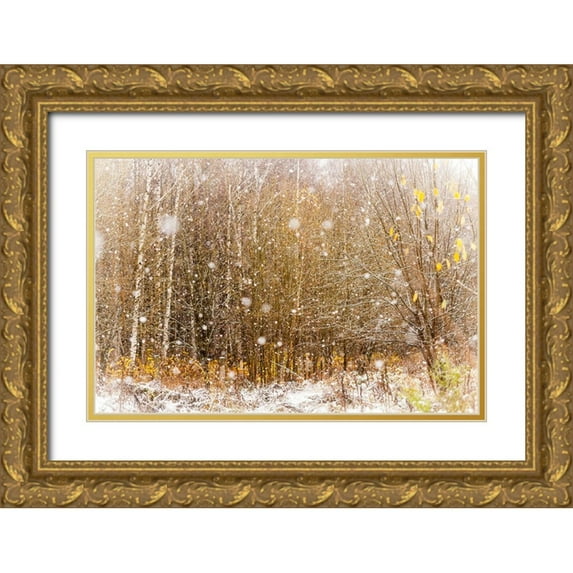 Jenny Rainbow Fine Art 18x13 Gold Ornate Wood Framed with Double Matting Museum Art Print Titled - First Snowflakes