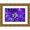 thumbnail image 1 of Jenny Rainbow Fine Art 18x13 Gold Ornate Wood Framed with Double Matting Museum Art Print Titled - Purple Mysterious Parrot Tulip, 1 of 4