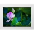thumbnail image 1 of Jenny Rainbow Fine Art 18x14 White Modern Wood Framed Museum Art Print Titled - Graceful Lotus, 1 of 4