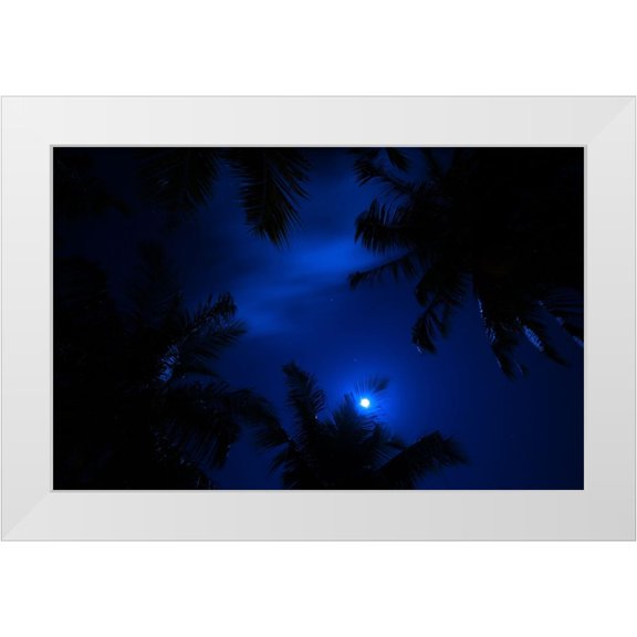 Jenny Rainbow Fine Art 24x17 White Modern Wood Framed Museum Art Print Titled - Magic of the Night Sky