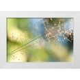 thumbnail image 1 of Jenny Rainbow Fine Art 24x17 White Modern Wood Framed Museum Art Print Titled - The Beauty of the Earth, 1 of 4