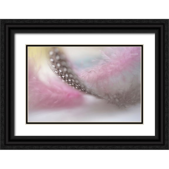 Jenny Rainbow Fine Art 32x23 Black Ornate Wood Framed with Double Matting Museum Art Print Titled - Angels Flight Series Nightingales Trill
