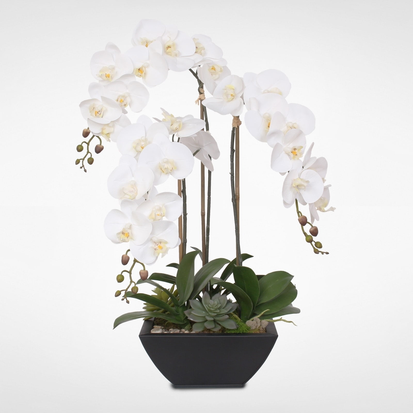 Real Touch White Orchids and Succulents in Black Metal Pot