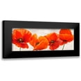 thumbnail image 1 of Jenny, Thomlinson 14x7 Black Modern Framed Museum Art Print Titled - Bright Poppies, 1 of 5