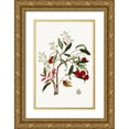 thumbnail image 1 of Jensen, Asia 13x18 Gold Ornate Wood Framed with Double Matting Museum Art Print Titled - New Botana II, 1 of 4